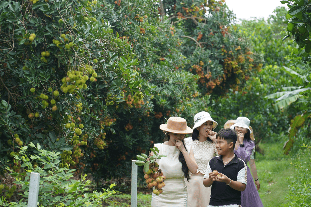 Tr&aacute;i c&acirc;y theo m&ugrave;a ở Đồng Nai tươi ngon, phong ph&uacute; v&agrave; thường được b&agrave;y b&aacute;n tại c&aacute;c nh&agrave; vườn hoặc chợ địa phương (Nguồn: B&aacute;o Lao Động)